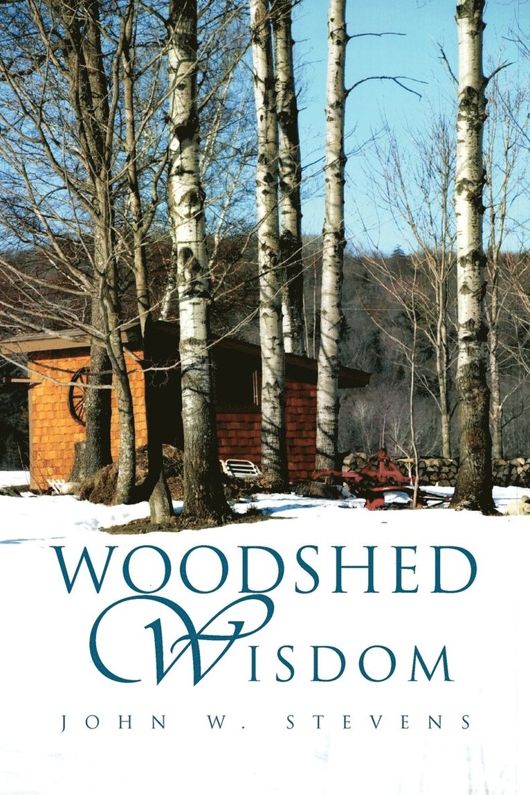 John W Stevens, John W. Stevens, JOHN W. STEVENS - Woodshed Wisdom, Häftad