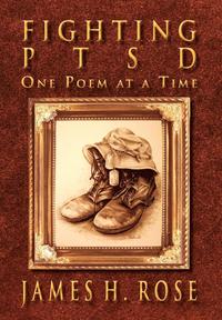 bokomslag Fighting PTSD