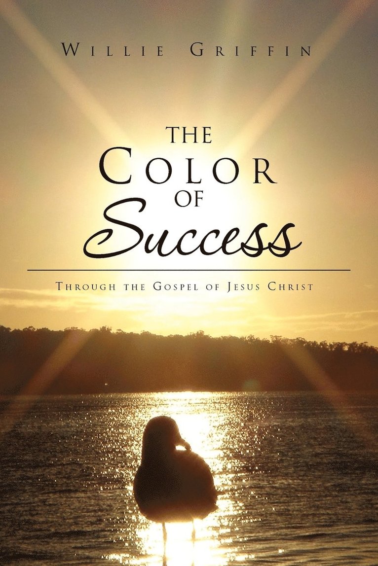 The Color of Success 1