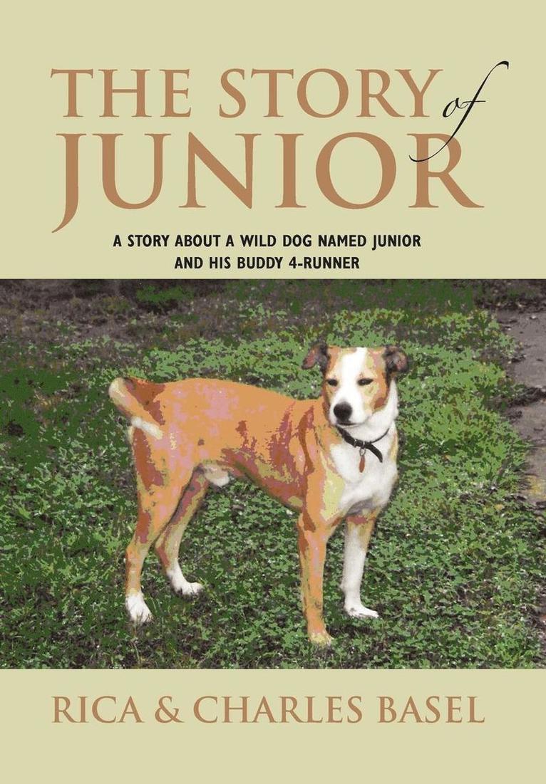 The Story Of Junior 1