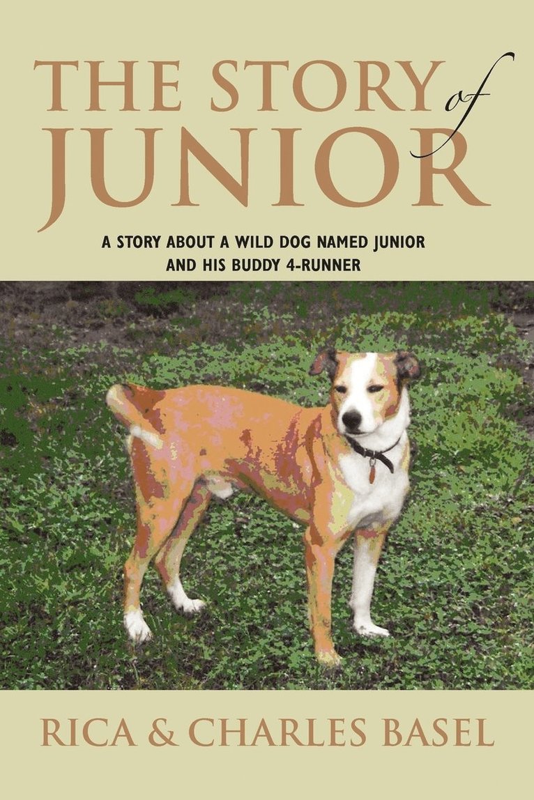 The Story of Junior 1