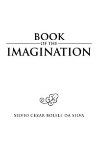 bokomslag Book of the Imagination