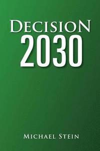 bokomslag Decision 2030