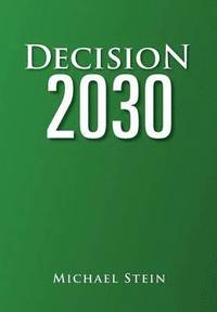 bokomslag Decision 2030