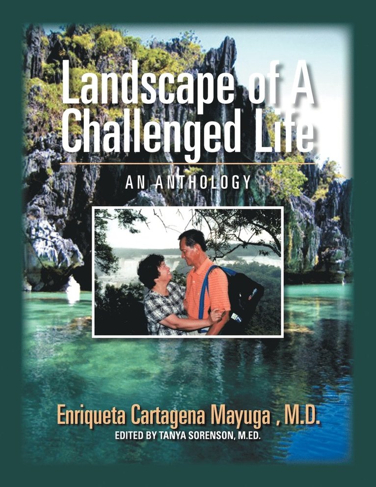 Landscape Of A Challenged Life