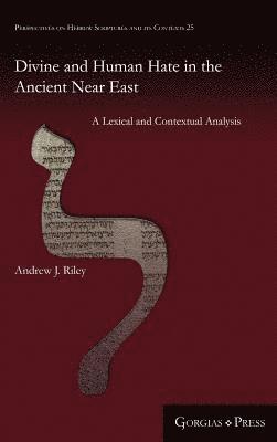 Andrew Riley - Divine and Human Hate in the Ancient Near East, Inbunden