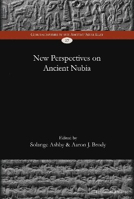 bokomslag New Perspectives on Ancient Nubia