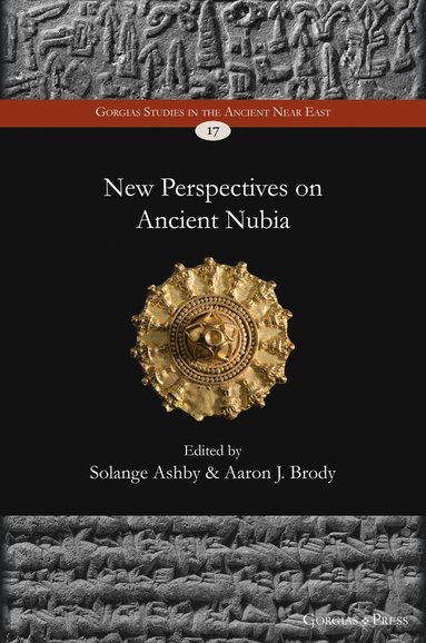 bokomslag New Perspectives on Ancient Nubia