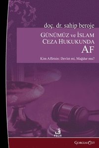 bokomslag Amnesty in Contemporary and Islamic Criminal Law