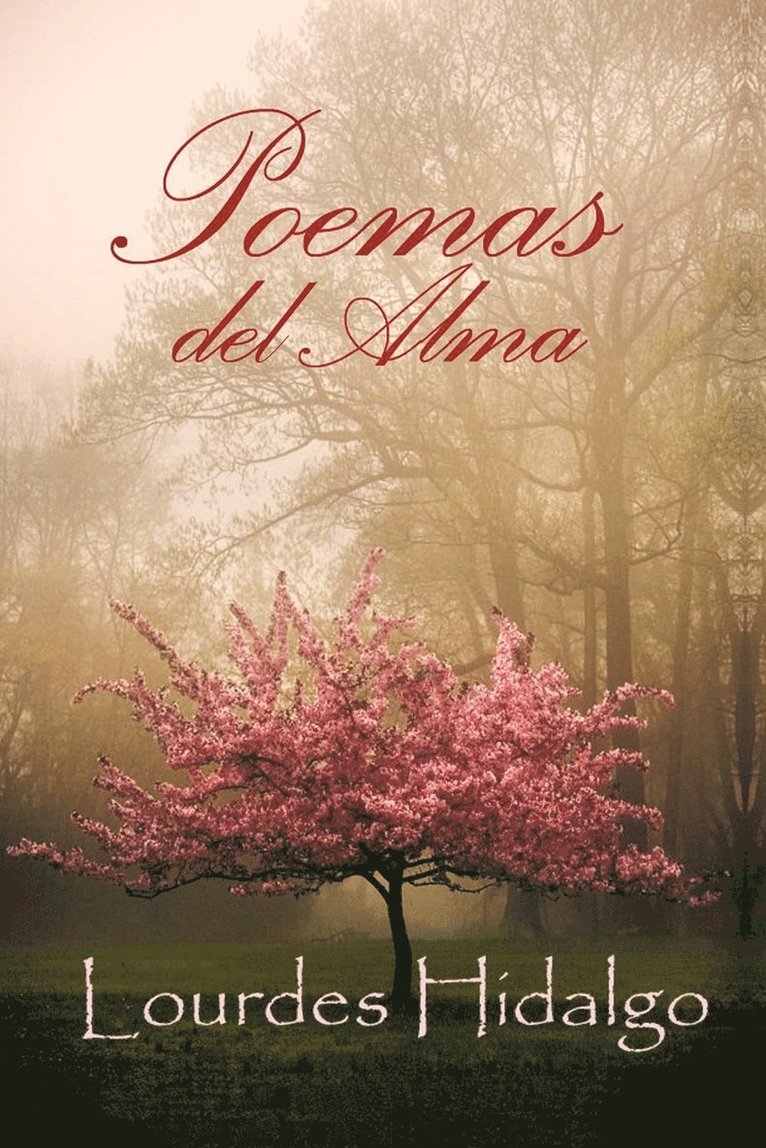 Lourdes Hidalgo - Poemas del Alma, Häftad
