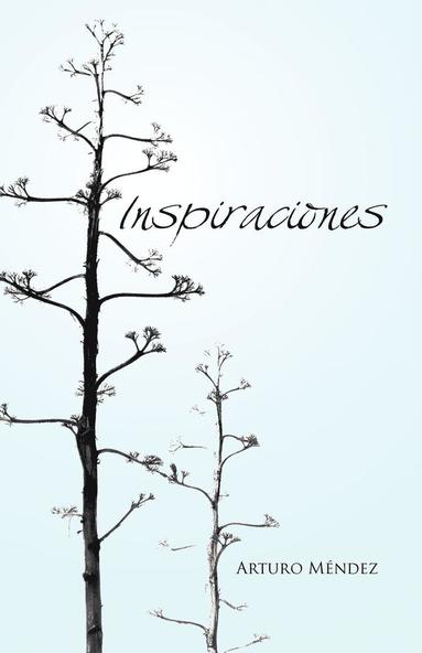 bokomslag Inspiraciones