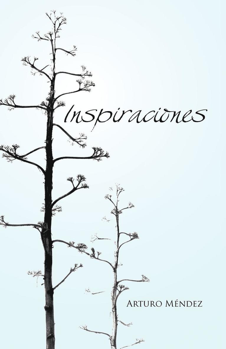 Inspiraciones 1