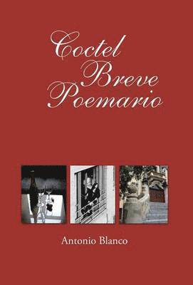 bokomslag Coctel Breve Poemario