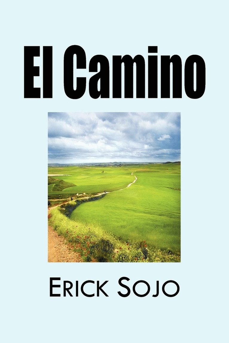 Erick Sojo Mar N, Erick Sojo Mar N. - Camino, Häftad