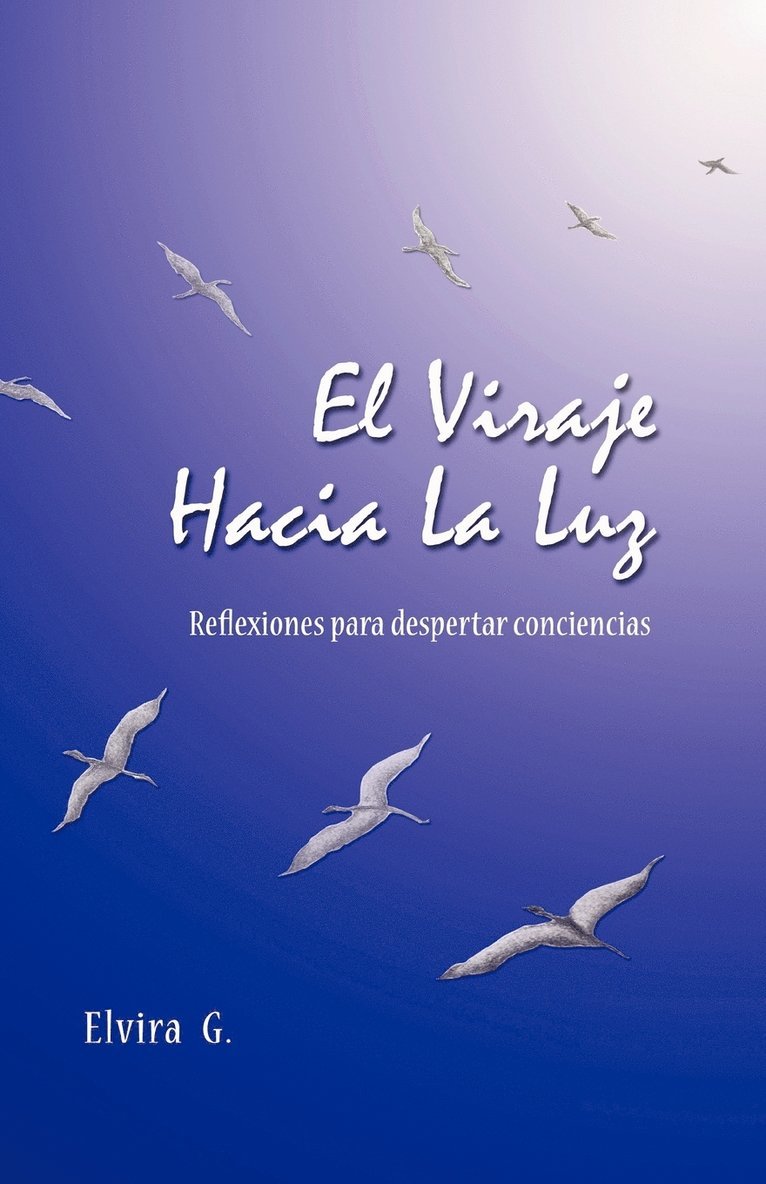Elvira G, Elvira G. - Viraje Hacia La Luz, Häftad