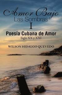 bokomslag Amor Bajo Las Sombras I