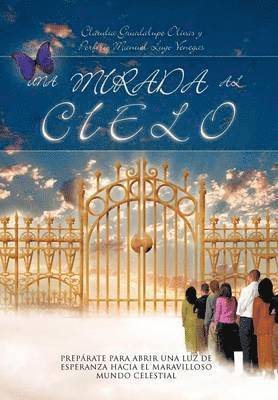 Mirada Al Cielo 1