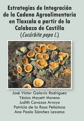 bokomslag Estrategias de Integracion de La Cadena Agroalimentaria En Tlaxcala a Partir de La Calabaza de Castilla (Cucurbita Pepo L.)