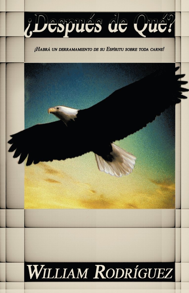 William Rodr Guez, William Rodriguez - Despues de Que?, Häftad