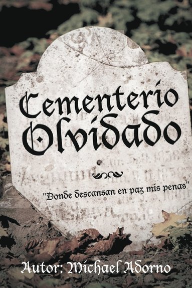 bokomslag Cementerio Olvidado