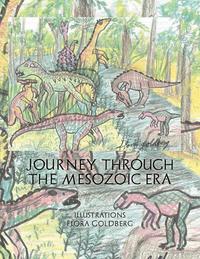 bokomslag Journey Through the Mesozoic Era