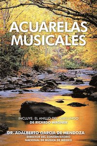 bokomslag Acuarelas Musicales