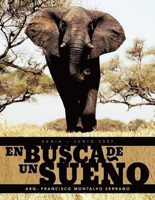bokomslag Busca de Un Sue O