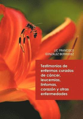 bokomslag Testimonios de Enfermos Curados de Cancer Leucemias Linfomas Corazon y Otras Enfermedades