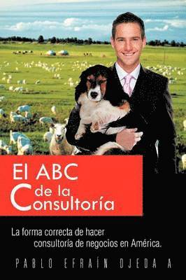 bokomslag El ABC de La Consultoria