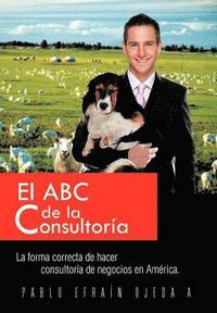 bokomslag El ABC de La Consultoria