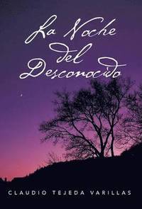 bokomslag Noche del Desconocido