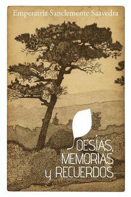 bokomslag Poesias, Memorias y Recuerdos