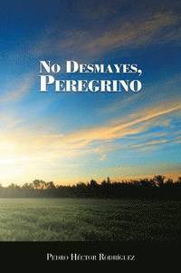 bokomslag No Desmayes, Peregrino