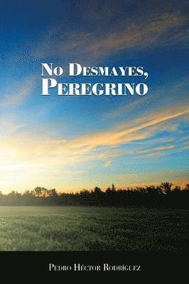 bokomslag No Desmayes, Peregrino