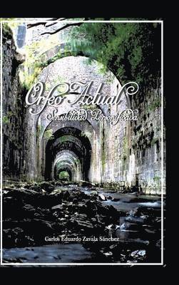 Carlos Eduardo Zavala Sanchez - Orfeo Actual, Inbunden