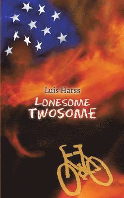 bokomslag Lonesome Twosome