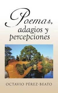 bokomslag Poemas, Adagios y Percepciones