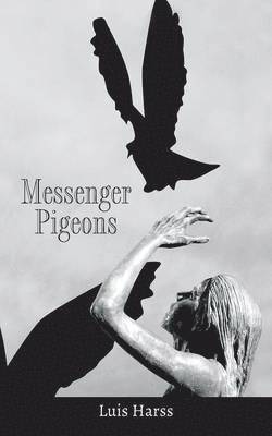 Messenger Pigeons 1