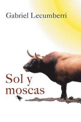 bokomslag Sol y Moscas