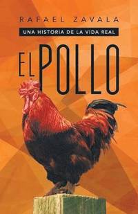 bokomslag Pollo