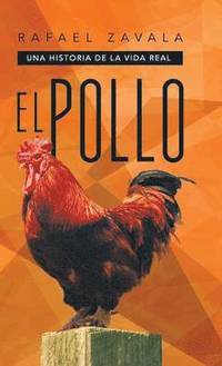 bokomslag Pollo
