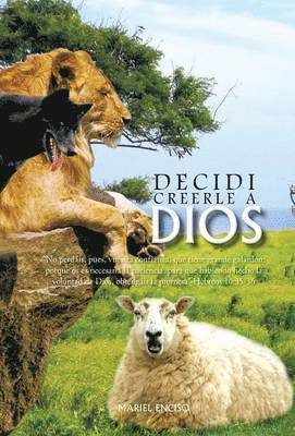 Decidi Creerle a Dios 1