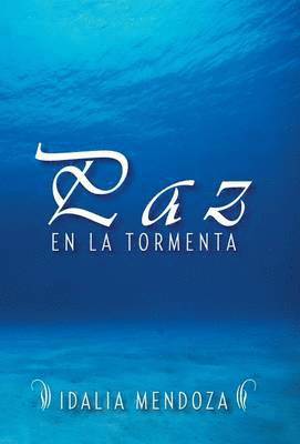 bokomslag Paz En La Tormenta