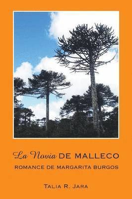 bokomslag Novia de Malleco