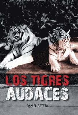 Los Tigres Audaces 1