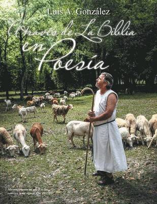 bokomslag Traves de La Biblia En Poesia