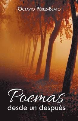Poemas Desde Un Despues