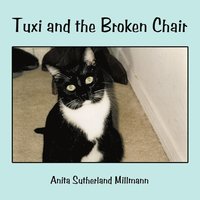 bokomslag Tuxi and the Broken Chair