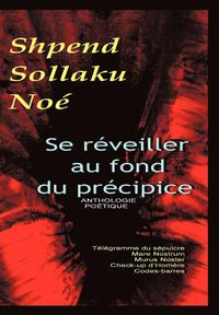 bokomslag Se réveiller au fond du précipice