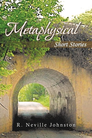 bokomslag Metaphysical Short Stories